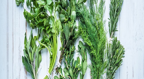 low oxalate green herbs 